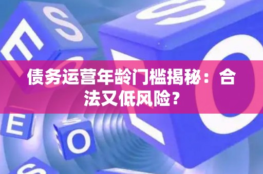 债务运营年龄门槛揭秘：合法又低风险？