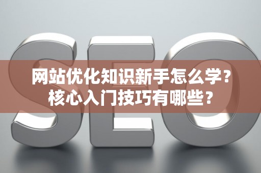 网站优化知识新手怎么学？核心入门技巧有哪些？