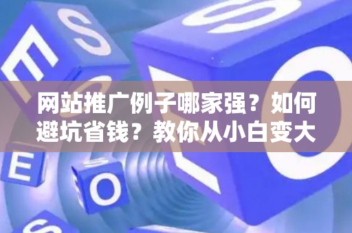 网站推广例子哪家强？如何避坑省钱？教你从小白变大神！