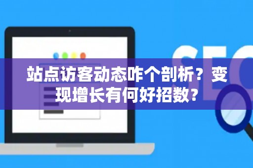 站点访客动态咋个剖析?变现增长有何好招数? 站点访客动态咋个剖析?变现增长有何好招数?